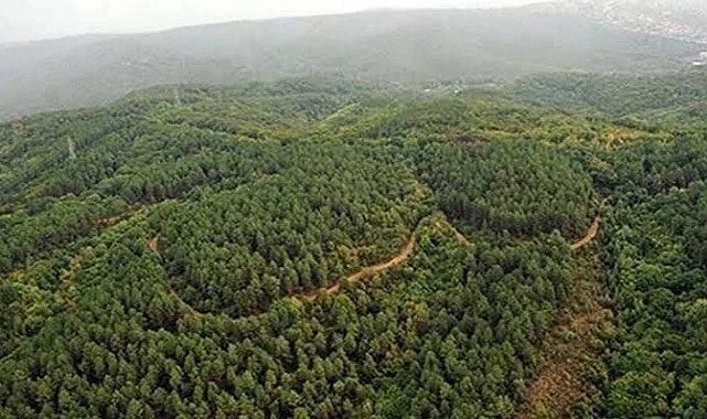 İzmir Valisi Elban duyurdu: O tarihten itibaren ormanlara giriş yasak!