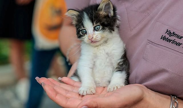 Konak&#039;ta anlamlı buluşma: Patili dostlar ömürlük yuvalarına kavuştu