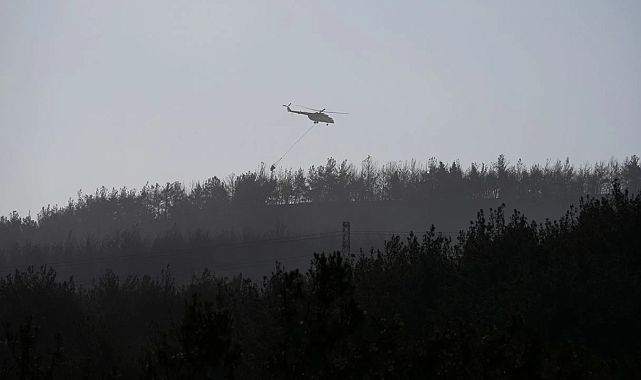 Aliağa ve Foça’daki yangın kontrol altına alındı