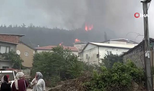 Bursa’da orman yangını! Alevler evlere sıçradı