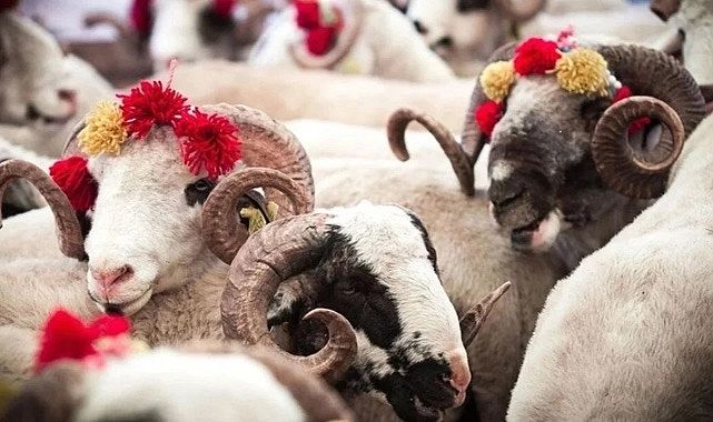 Büyükşehir&#039;den hayırseverlere çağrı: Bağış köprüsü kuruldu