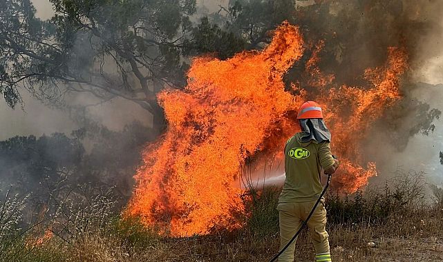 Muğla&#039;da hasır ürünler satan işyerinde yangın