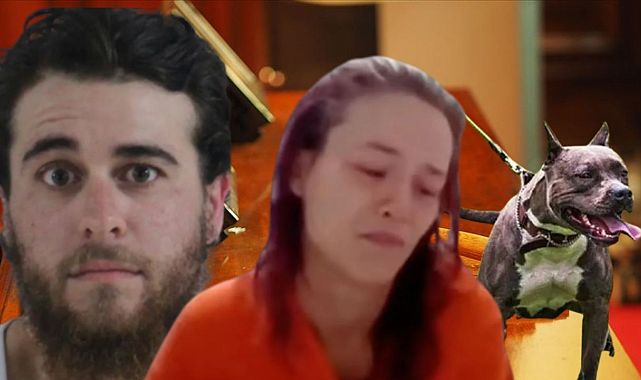 ABD’de annenin eziyeti çocuğu pitbulla baş başa bıraktı