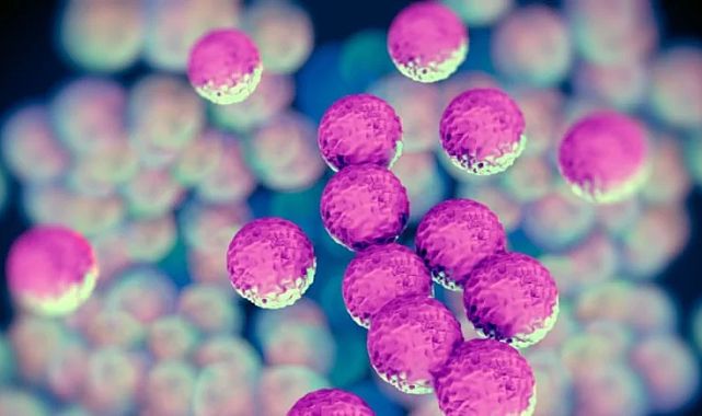 Antibiyotik tanımayan bakteri alarm veriyor