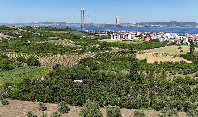 Aydın ve İzmir’de zirai don kiraz üretimini vurdu