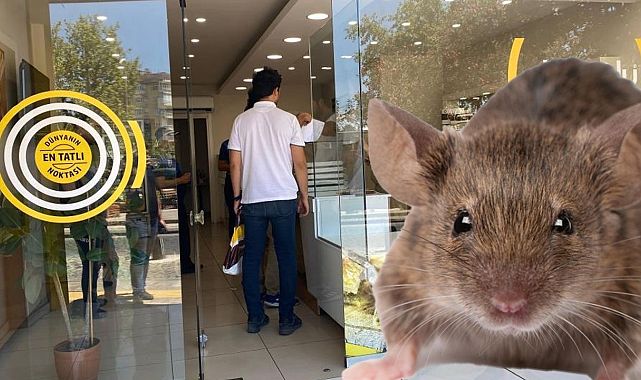 Baklavacıda fare rezaleti! Tüm ürünlere el kondu