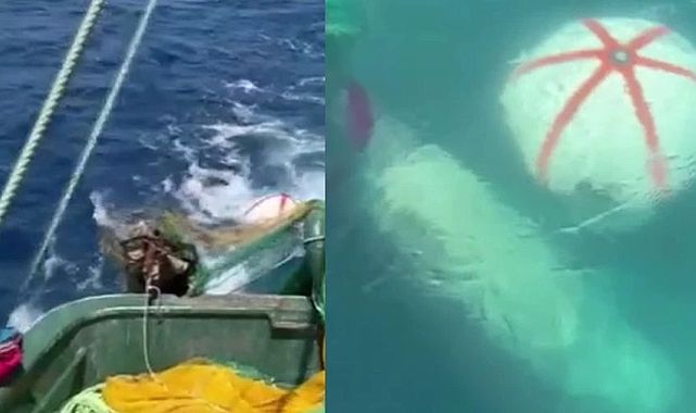 Balıkçı ağına denizaltı torpidosu takıldı