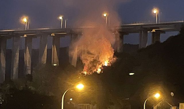 Beykoz’da orman yangını: 1 kişi gözaltında