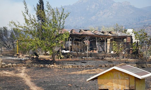 Bilecik 4 Gündür Alev Alev: Tahliyeler Sürüyor