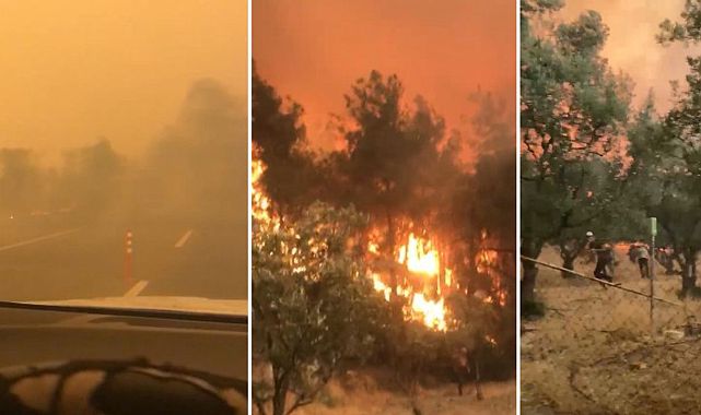 Bilecik’te yangından dehşet anları: Allah’ım yardım et