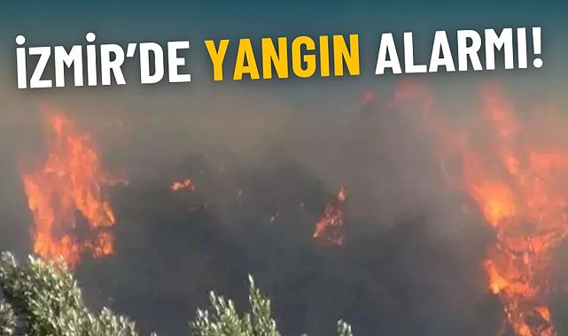 Bornova’daki yangın Buca’ya sıçradı