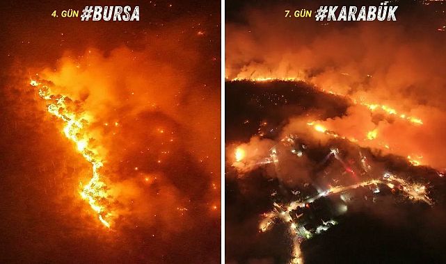 Bursa Dışındaki Orman Yangınları Kontrol Altına Alındı: Bakan Yumaklı Son Durumu Paylaştı