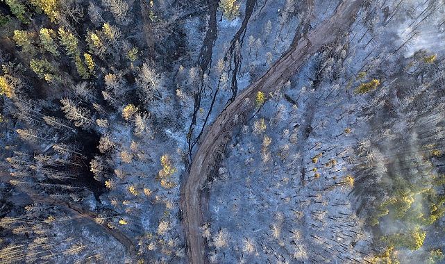 Çankırı-Tosya hattında 10 saat süren yangın