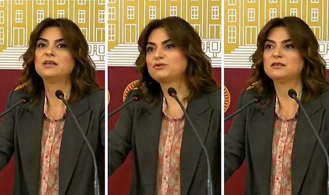 DEM Partili Koçyiğit’ten “Terörsüz Türkiye” sürecine tepki