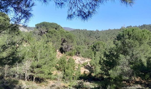 Doğanın Kalbine Dinamit: Latmos&#039;ta Yeni Ocak Girişimi