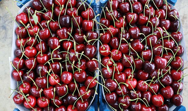 Don vurdu, meyvede zam dalgası başladı