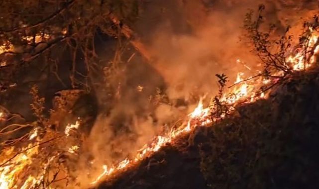 Eskişehir&#039;de Orman Yangını: Bir Köy Boşaltıldı