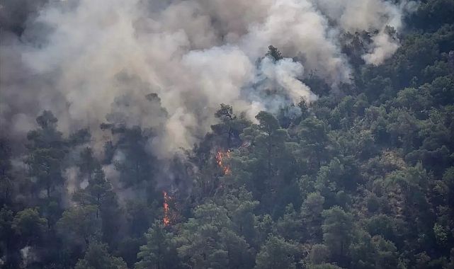 Geyve ve Bilecik’te Orman Yangını Devam Ediyor, 4 Köy Tahliye Edildi
