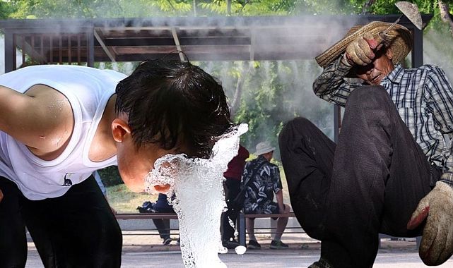 Güney Kore&#039;de sıcak rekoru: 7 can kaybı