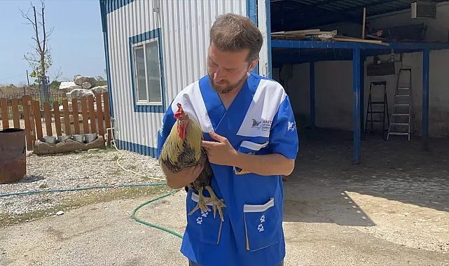 HAYTAP, Yangın Mağduru Hayvanlara Umut Oldu