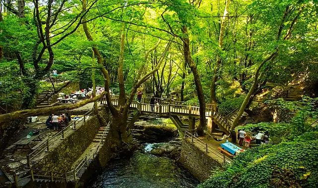 İzmir’e 4 saat uzaklıkta, yüzde 63’ü ormanlarla kaplı Bayramiç