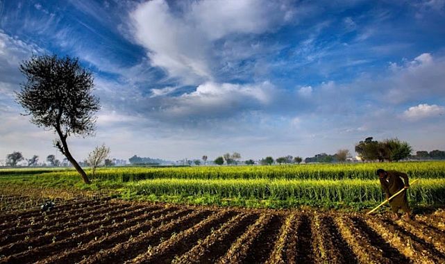 İzmir Kınık’ta Çiftçiler Borç Yüzünden Tarlalarını Kaybediyor