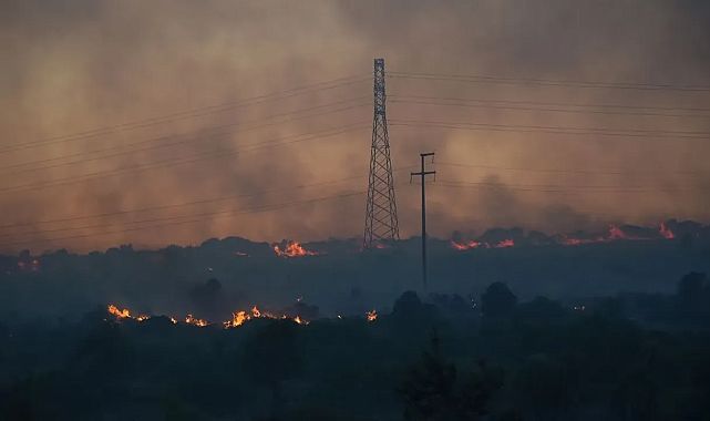 İzmir yangınlarında avukatlardan sorumluluk talebi