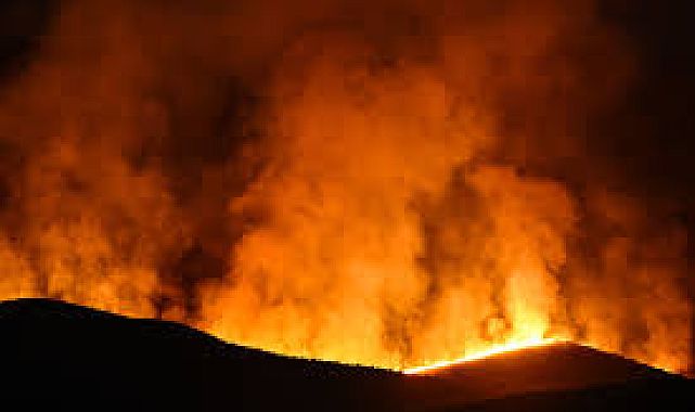 Kaliforniya&#039;da orman yangını büyüyor