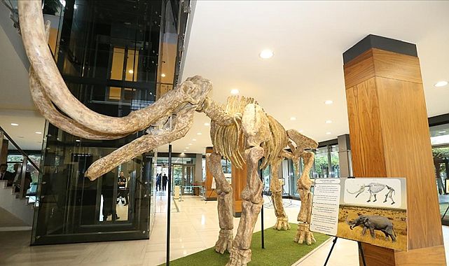 Kayseri Paleontoloji Müzesi 2026’da kapılarını açacak