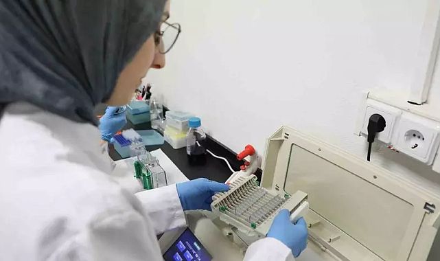 Kereviz tohumu kansere karşı inceleniyor