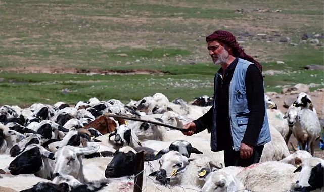 “Köyümde Yaşamak İçin Bir Sürü Nedenim Var” projesi Erzurum’da büyüyor