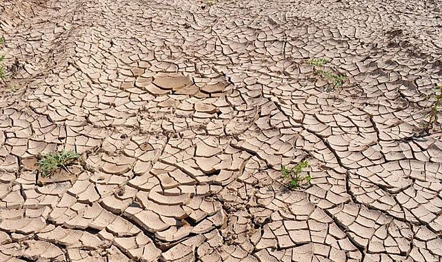 Malatya’da Kuraklık Alarmı: Su Kaynakları 10 Yılın Dipte