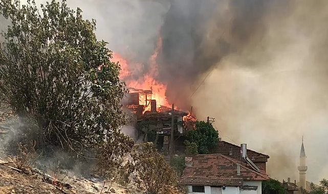 Orman yangını evleri yaktı, 1 kişi hayatını kaybetti!