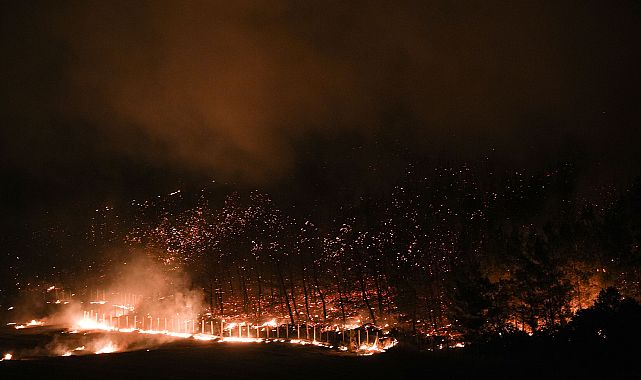 Orman yangınlarına 12 milyon TL acil destek sağlandı