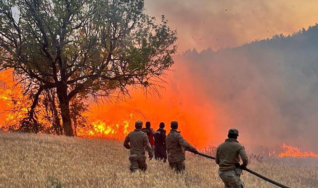 Orman Yangınlarına Karşı Ulusal Seferberlik