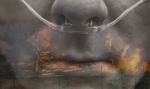 Orman Yangınlarının Görünmeyen Tehlikesi: Akciğer Hastalıklarında Büyük Risk!