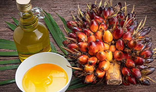 Palm Yağı Hakkında Bilimsel 10 Gerçek
