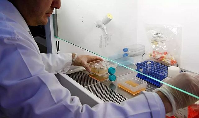 Prostat hastalıklarında erken teşhis hayat kurtarır