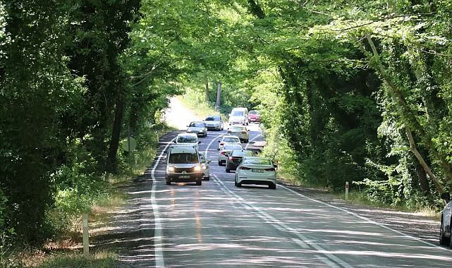 Safranbolu’da doğa ile iç içe büyüleyici ağaç tüneli