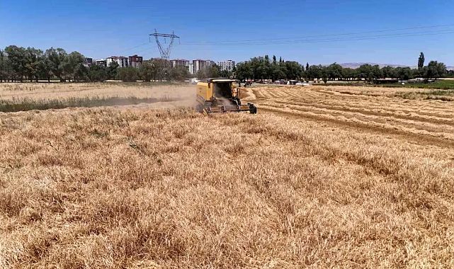 Sivaslı Çiftçi Rekor Verim Bekliyor