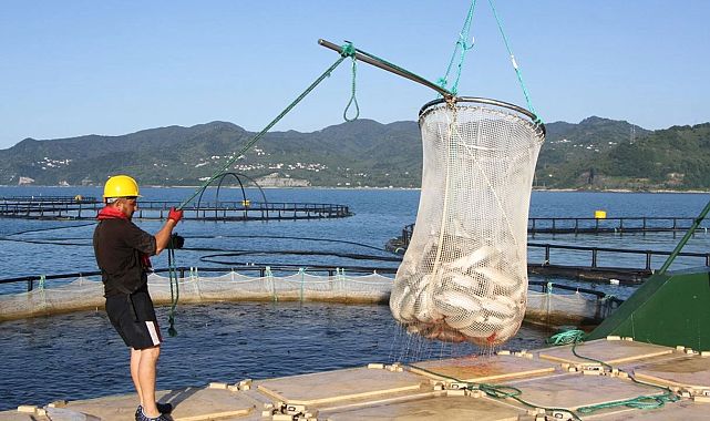 Su ürünleri ihracatında hedef 2 milyar doları aştı