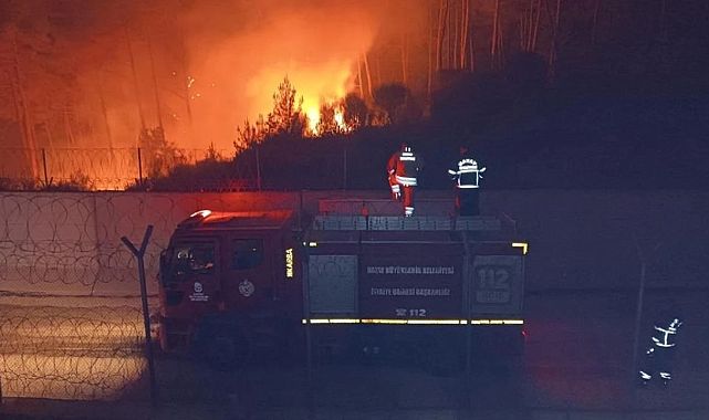 Suriye’den Hatay’a Sıçrayan Yangın Kontrol Altında