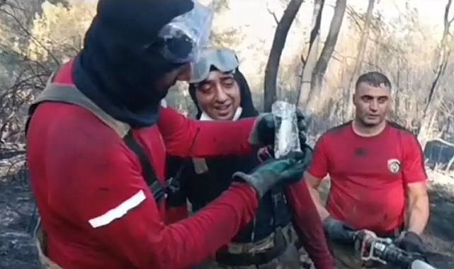 Yangında mucize: İtfaiye balığı pet şişeyle kurtardı