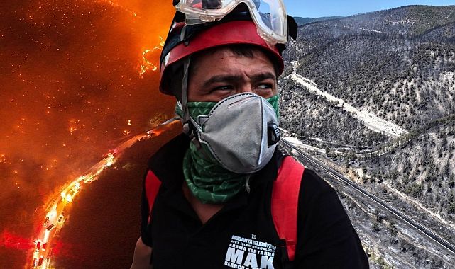 Yangınlara çare: Otlayan hayvanlar