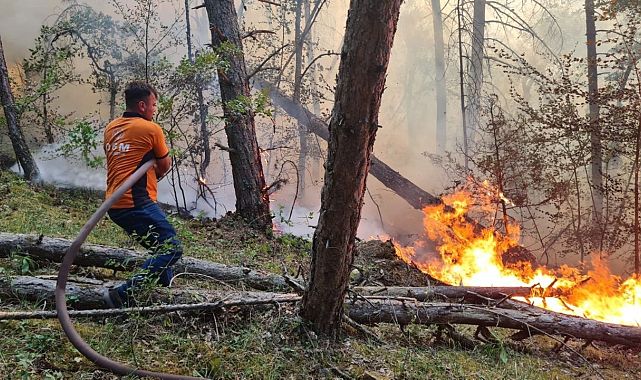 Yangınlarda Son Durum: Bakan Yumaklı Açıkladı