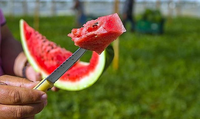 Yaz Sofralarının Vazgeçilmezi Karpuzda Bakteri Tehlikesi