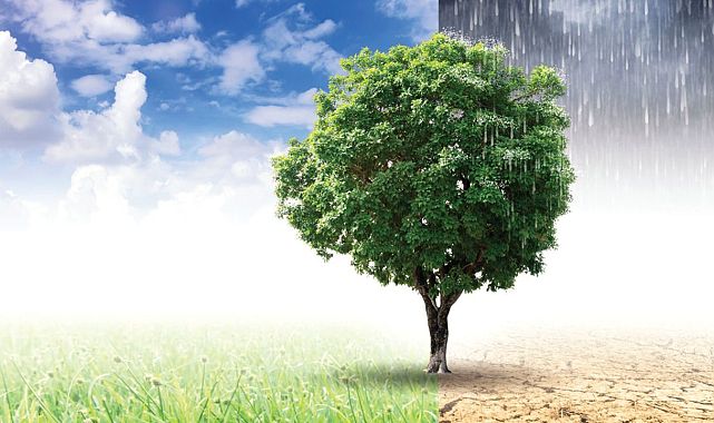 Yeni İklim Kanunu yürürlükte: Kısıtlama yok