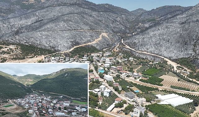 Yeşil Bursa&#039;nın kalbi yandı: Gürsu küle döndü