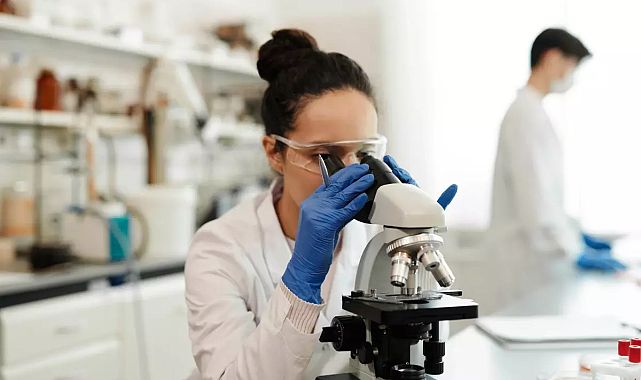 YÖK: 201 Üniversite Ulusal Hakemli Dergilerde Yayın Yaptı