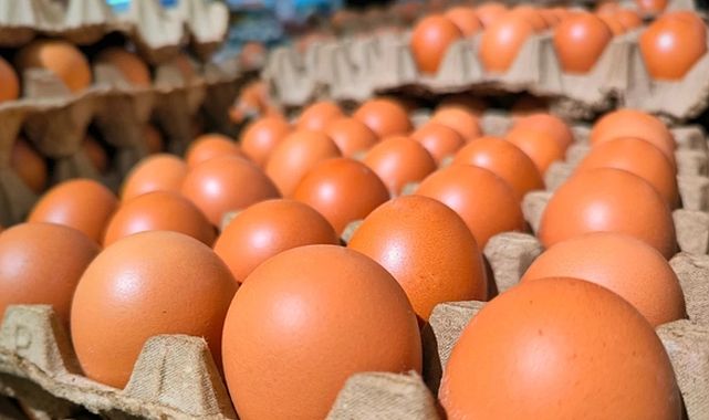 Yumurta satışında &quot;tavsiye tarihi&quot; dönemi başladı